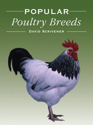 cover image of Popular Poultry Breeds
